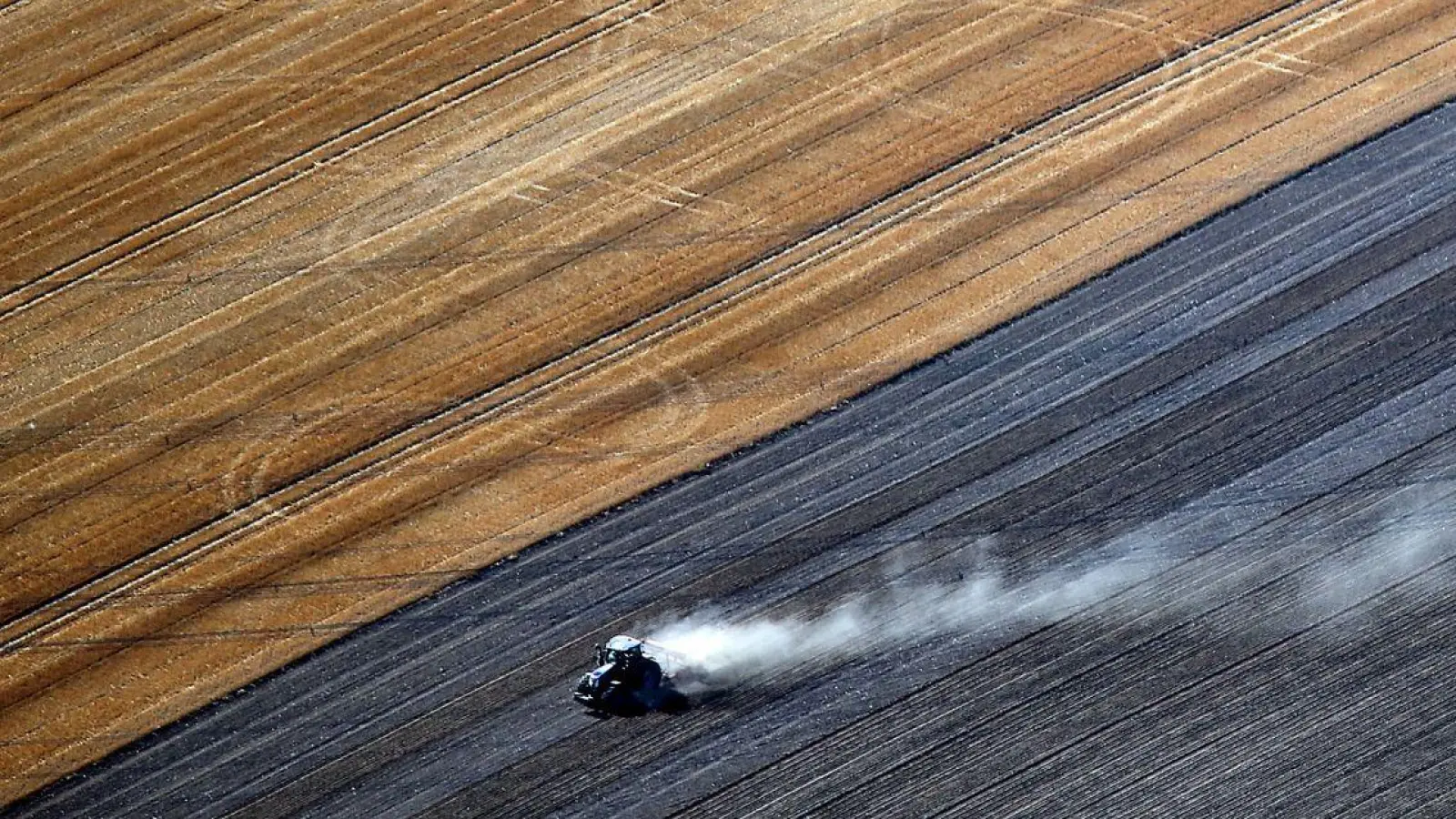 Laut einer Studie wird sich die Zahl der Bauernhöfe bis 2040 mehr als halbieren. (Foto: picture alliance / dpa)