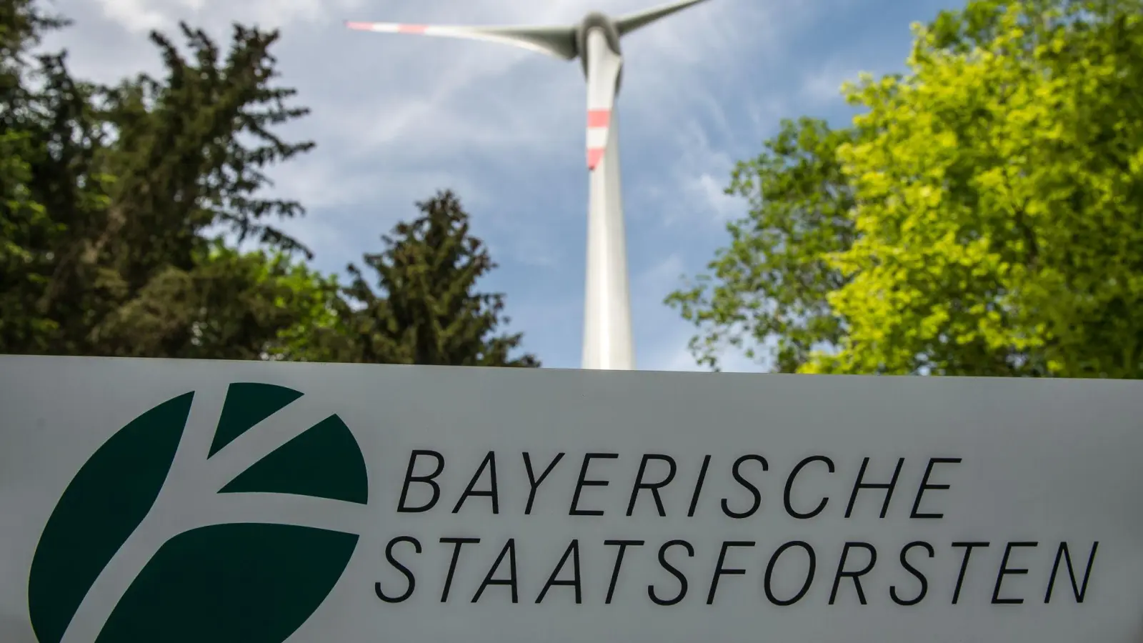 Die Staatsforsten planen den ersten Windpark, den das Unternehmen in Eigenregie betreiben will.  (Foto: Armin Weigel/dpa)