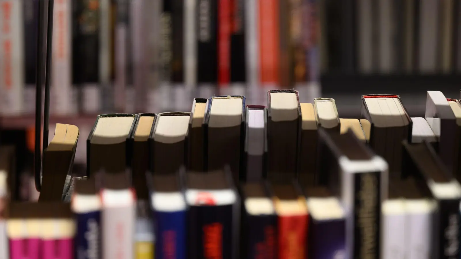 Moderne Bibliotheken sind nicht mehr nur reine Ausleihstationen. Die Stadtbücherei Würzburg bekam für ihr Konzept nun einen Preis. (Symbolbild) (Foto: Robert Michael/dpa)