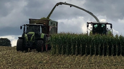 Landwirte nutzen Maishäcksler, um schnell größere Mengen Mais zu ernten. (Symbolbild) (Foto: Kathrin Zeilmann/dpa)