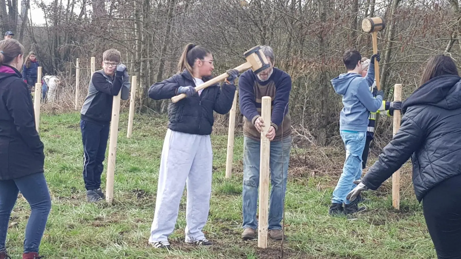 Nach dem Pflanzen wurden die Holzpfähle zum Befestigen der Bäumchen eingeschlagen, (Foto: Walter Würfel)