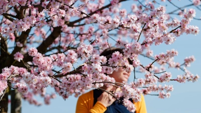 Wie riecht der Frühling? Starke Sinnesreize lassen uns lebendig fühlen. Wer bewusst darauf achtet, beschert sich Glücksmomente im Alltag. (Foto: Uwe Anspach/dpa/dpa-tmn)