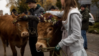 Sitzt der Kopfschmuck noch? Während des Almabtriebs richten die Frauen und Männer die Blütenkrönchen.  (Foto: Evi Lemberger)