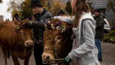 Sitzt der Kopfschmuck noch? Während des Almabtriebs richten die Frauen und Männer die Blütenkrönchen.  (Foto: Evi Lemberger)