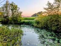 Abendstille - gesehen bei Dottenheim (Foto: Uschi Wendel)