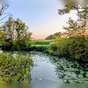 Abendstille - gesehen bei Dottenheim (Foto: Uschi Wendel)