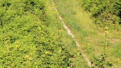 Der Verkehr rollt nun um die Berge herum: Dieser ehemalige Streckenabschnitt der Autobahn A 4 soll bald offizieller Wanderweg sein. (Foto: Deike Uhtenwoldt/dpa-tmn)