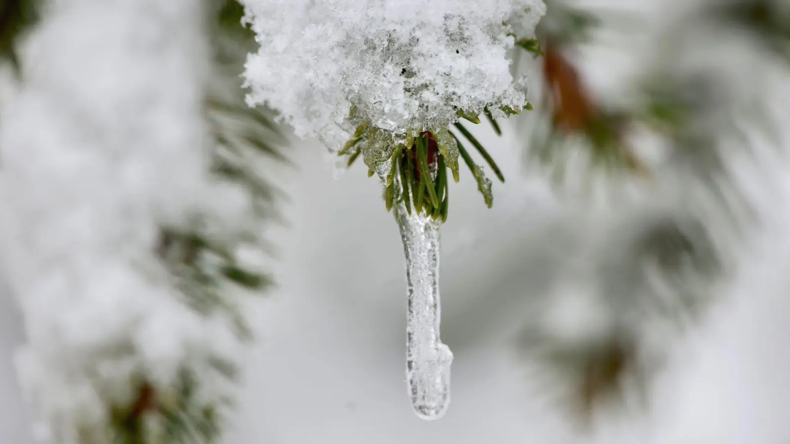 In den Landkreisen Ansbach und Neustadt/Aisch-Bad Windsheim ist am Mittwoch zumindest mit ein bisschen Schnee zu rechnen. (Symbolbild: Matthias Bein/dpa)