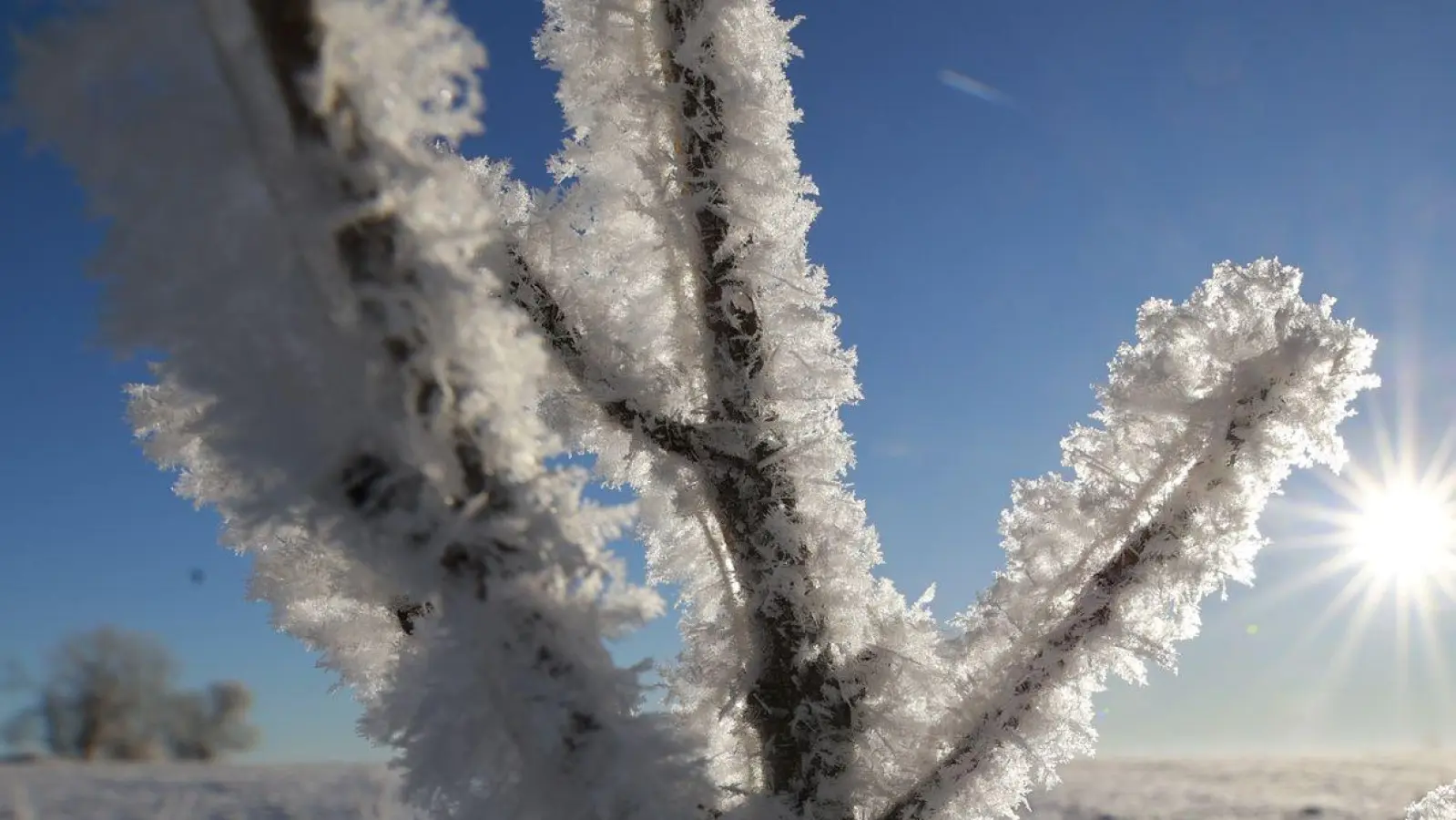 Frostiges Wetter im Oberharz bei Elbingerode. (Foto: Matthias Bein/dpa)