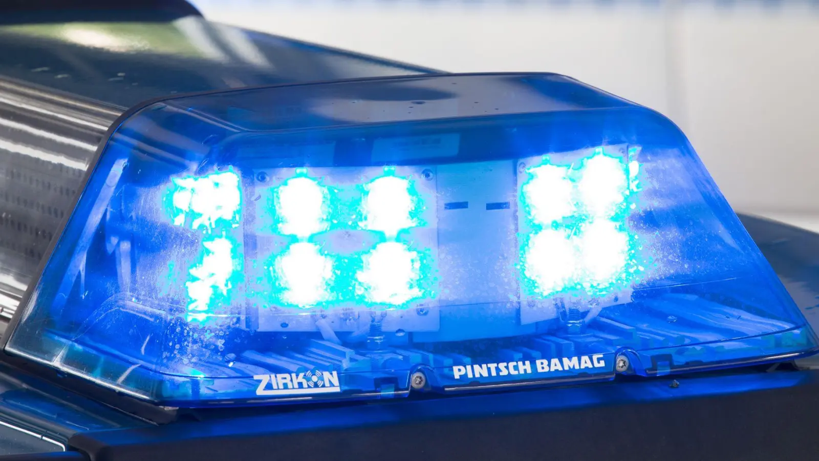 Enten lösten einen Unfall bei Harburg aus. (Symbolbild) (Foto: Friso Gentsch/dpa)