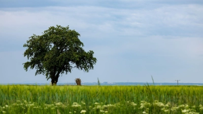 Der Wetterumschwung kann Gewitter und Starkregen bringen. (Symbolbild) (Foto: Jörg Halisch/dpa)