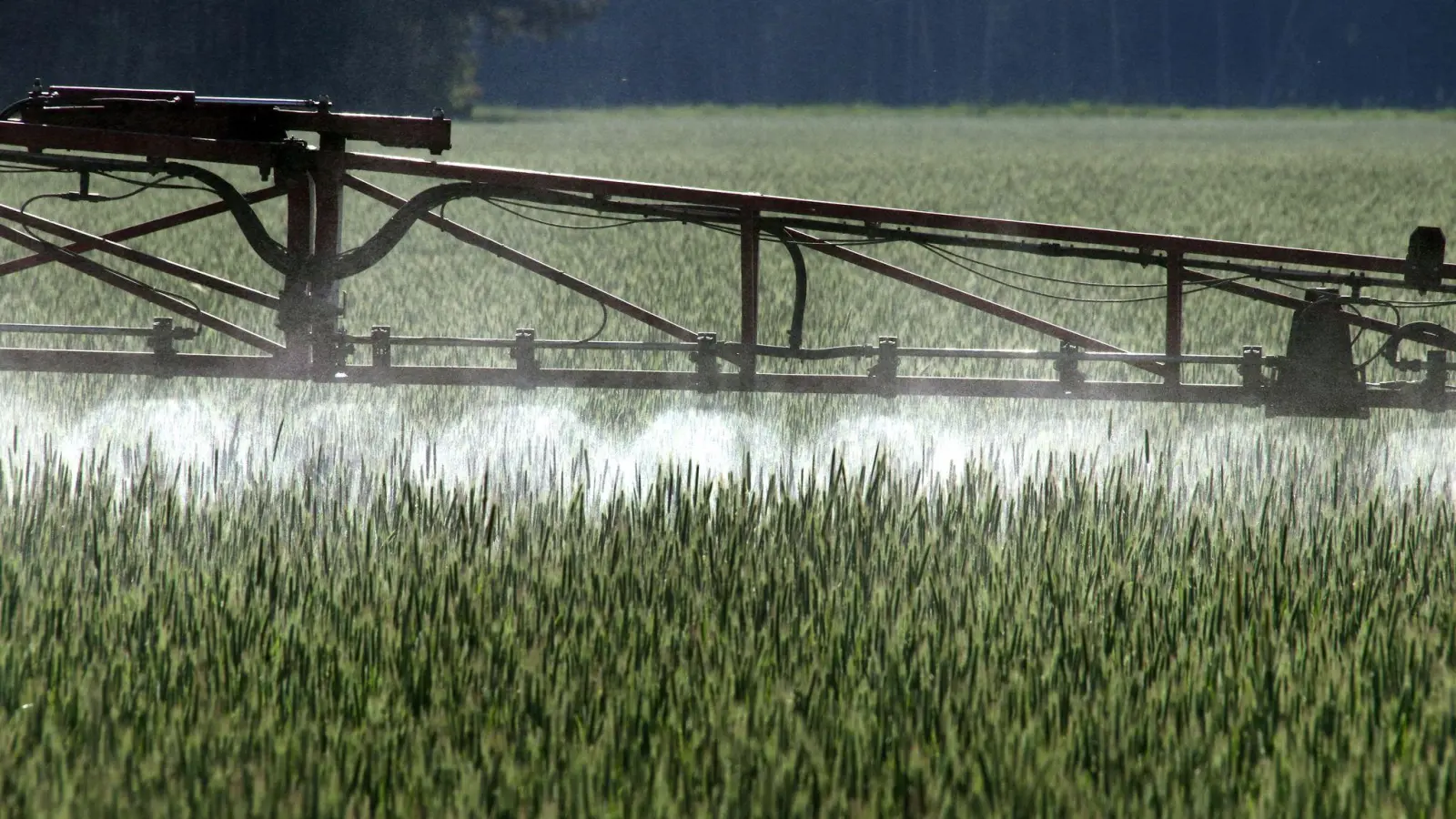 Ein Landwirt versprüht mit einem Spezialgerät Pflanzenschutzmittel über ein Roggenfeld - möglicherweise hat auch er in der Vergangenheit zu viel Geld bezahlt. (Foto: Peter Förster/dpa)