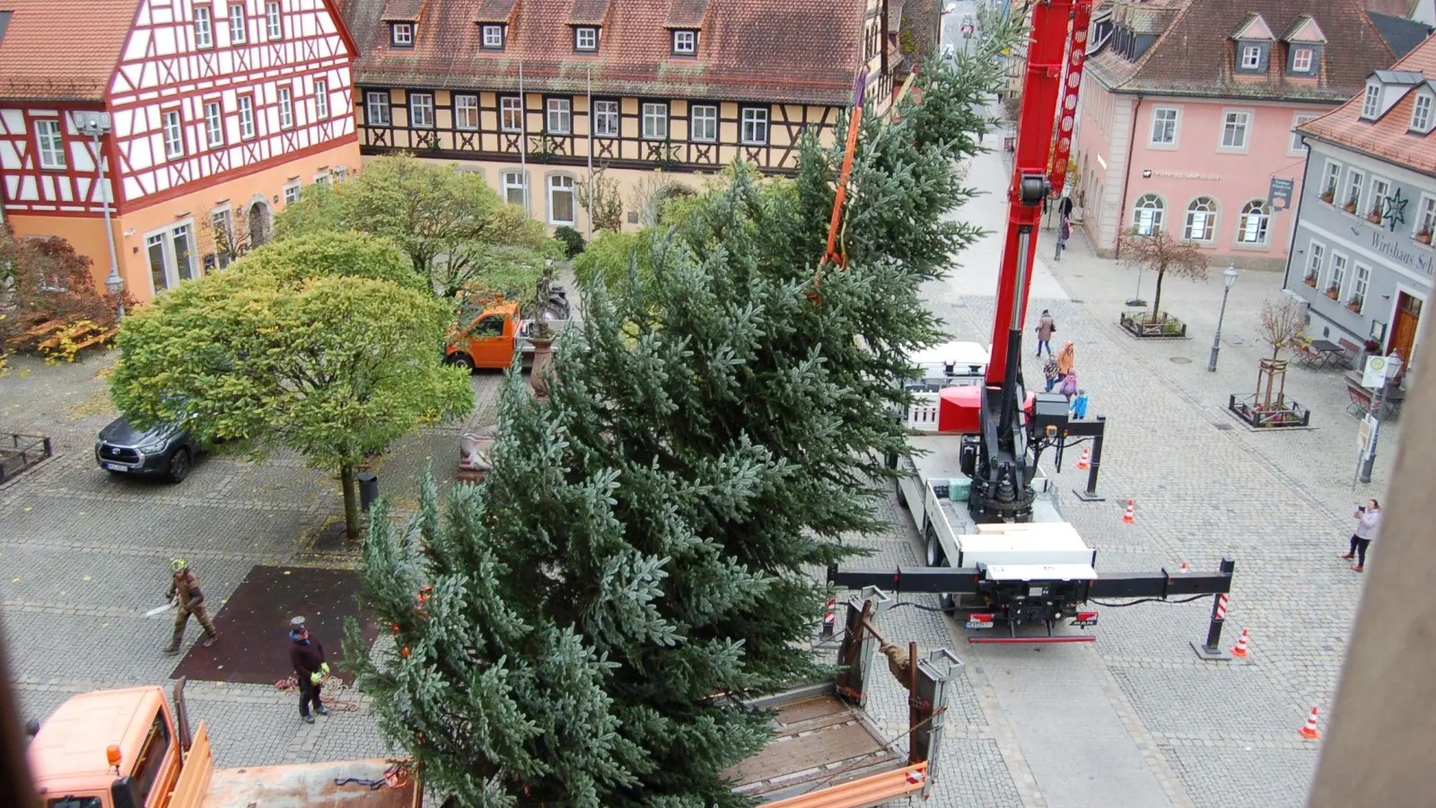 Mittels eines Krans wurde gestern der Weihnachtsbaum auf dem Marktplatz aufgestellt. (Foto: Christa Frühwald)