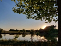 Sonnenuntergang am Reuther Weiher - gesehen von Georg Link. (Foto: Georg Link)