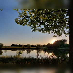 Sonnenuntergang am Reuther Weiher - gesehen von Georg Link. (Foto: Georg Link)