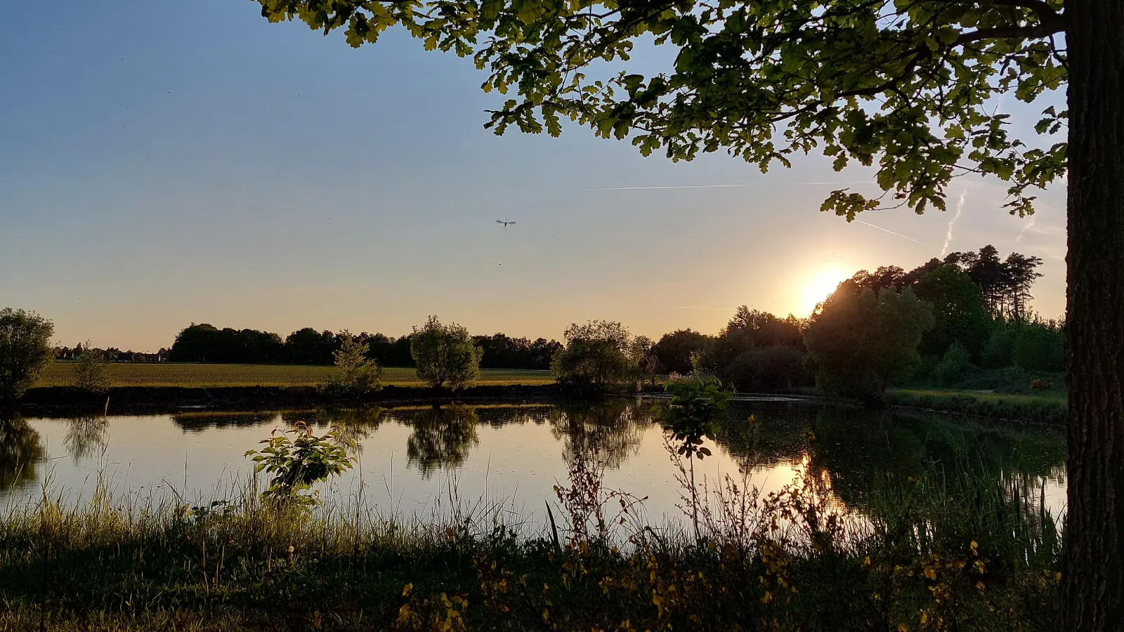 Sonnenuntergang am Reuther Weiher - gesehen von Georg Link. (Foto: Georg Link)