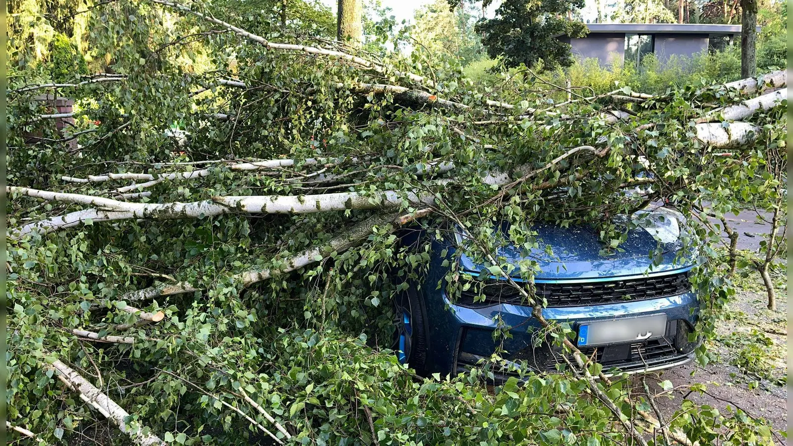 Bäume, die auf Autos stürzen, und andere Naturgefahren durch Unwetter richteten vergangenes Jahr deutlich weniger Schäden an. (Archivbild) (Foto: Jens Dudziak/dpa)
