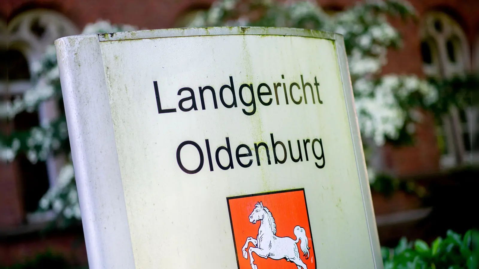 Ein ehemaliger Geschäftsführer des Steinhoff-Konzerns steht wegen Steuerbetrugs vor dem Landgericht Oldenburg. (Archivbild) (Foto: Hauke-Christian Dittrich/dpa)