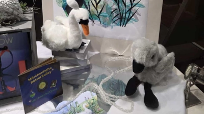 Eine Rallye mit genau 29 Märchen und märchenhaften Geschichten: „Das hässliche Entlein” zierte eines der Schaufenster in der Aktion. (Foto: Elke Knöbl)