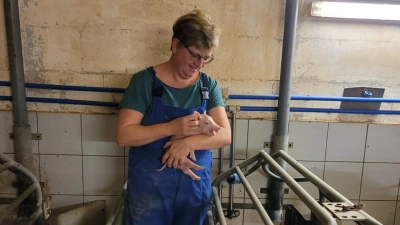 Ihr Leben richtet Petra Müller seit vielen Jahren nach dem Rhythmus der Ferkel aus. Früher hätte sie sich das nicht vorstellen können. (Foto: Lisa Müller)