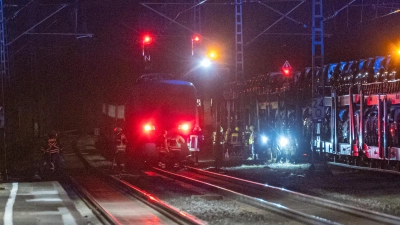 Der ICE blieb nach ausgelöstem Brandalarm im Bereich des Bahnhofs Emskirchen stehen. (Foto: Mirko Fryska)