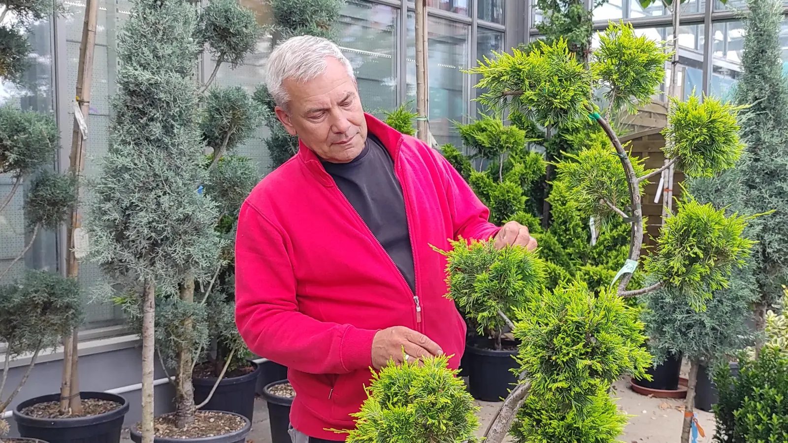 Gärtnermeister Mark Danneberg in der Baumschule des BGU Gartencenters in Ansbach-Brodswinden. (Foto: BGU Fachmarkt)