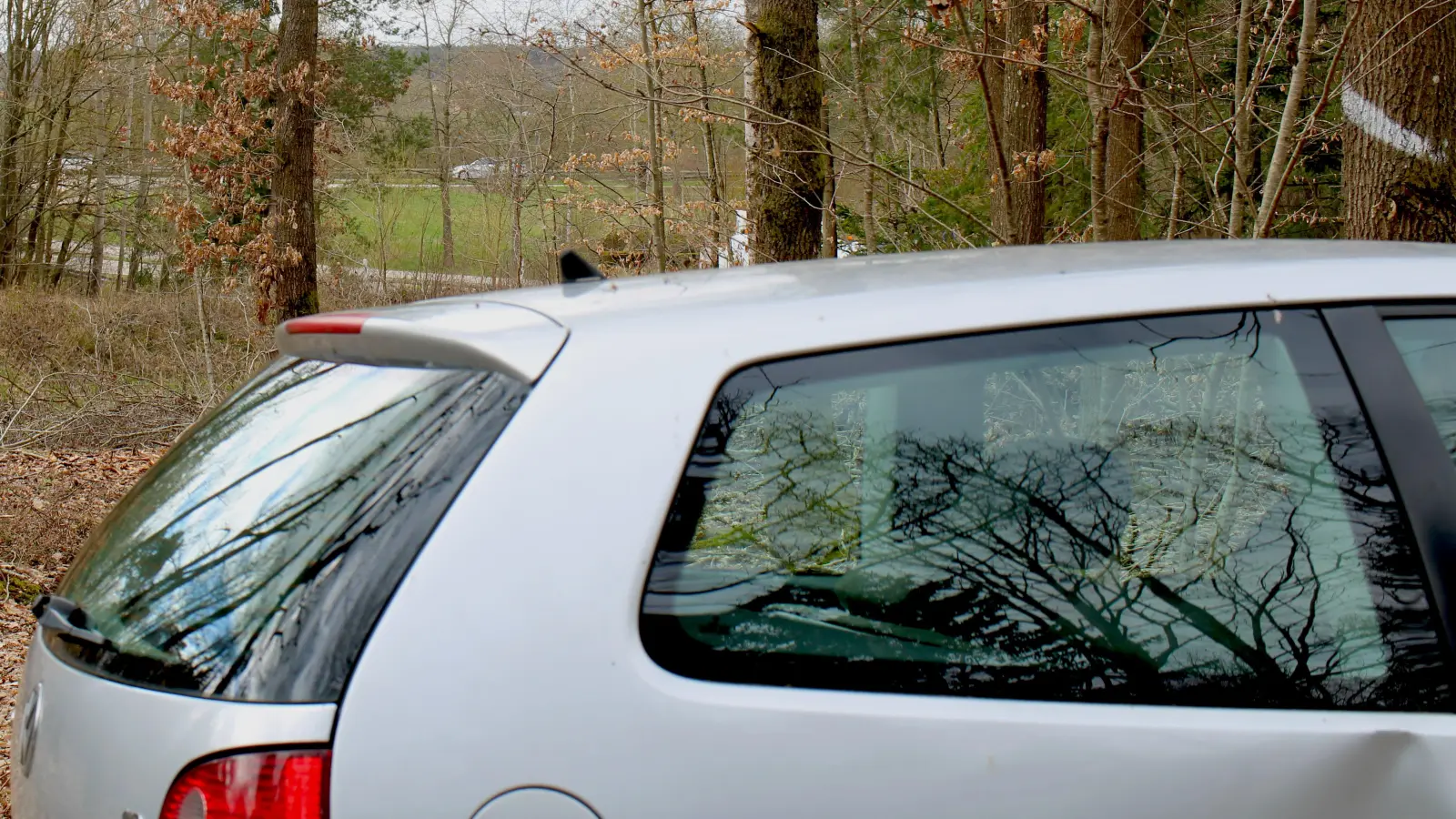 Rund 50 Meter hat es das Auto von der mutmaßlichen Kontrollstelle an der B13 (im Hintergrund) zu seinem Stellplatz im Wald geschafft. (Foto: Constantin Prosch)