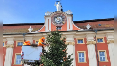 Die Weihnachtstanne ist am Mittwoch auf dem Marktplatz in Bad Windsheim aufgestellt worden. (Foto: Nina Daebel)