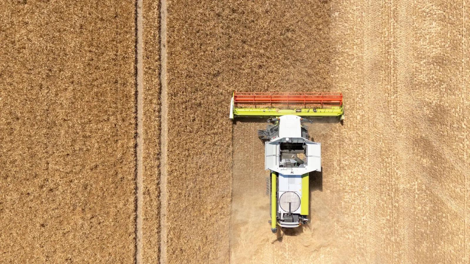 Mähdrescher rollen zur Ernte auf die ersten Äcker. (Archivbild) (Foto: Sebastian Kahnert/dpa)