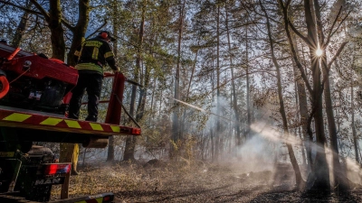 Feuerwehrleute versuchen die Brände zu löschen.  (Foto: Andreas Arnold/dpa)