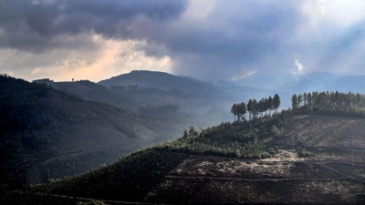 Das Sauerland ist besonders reich an Sagen und Legenden. Zu den mythischen Figuren der Region zählen die im Berg und unter der Erde lebenden „Hollen“ (Archivbild). (Foto: Federico Gambarini/dpa)