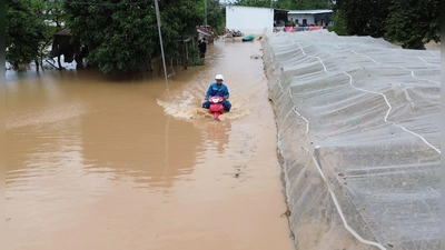 Mann kämpft sich auf überfluteter Straße durch die Fluten in Zentralvietnam (Foto: --/VNA/XinHua/dpa)