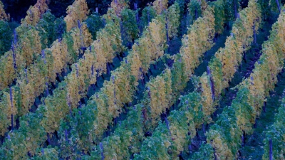 In der neuen Woche kann es in Deutschland zunehmend nass werden. (Foto: Thomas Banneyer/dpa)