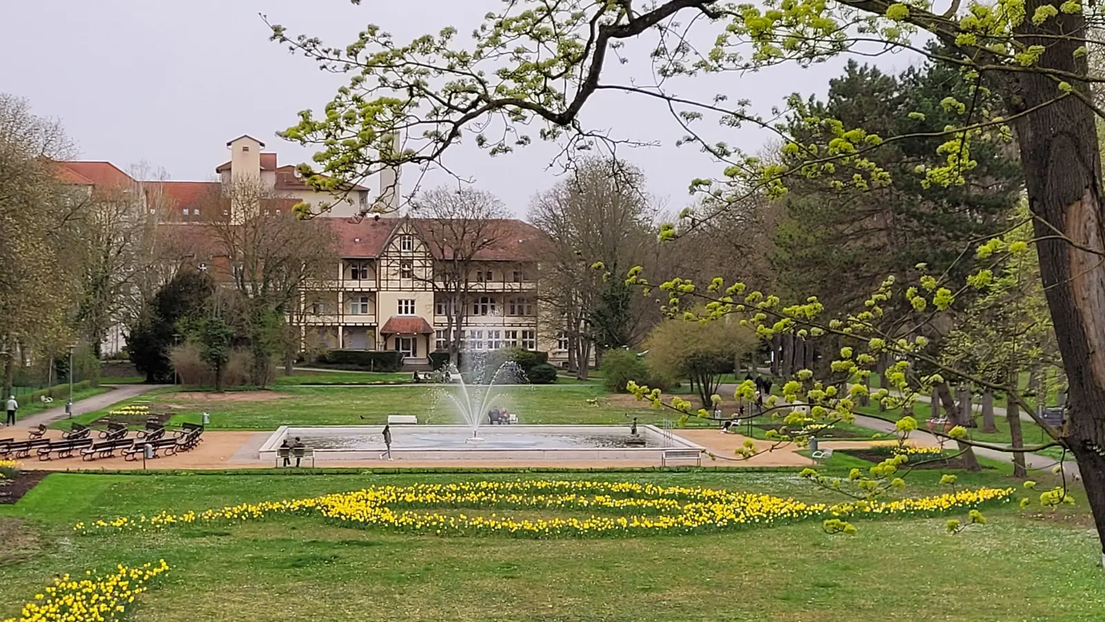 Ein großer Teil der Landesgartenschau findet im Bad Windsheimer Kurpark statt (Archivbild: Nina Daebel)