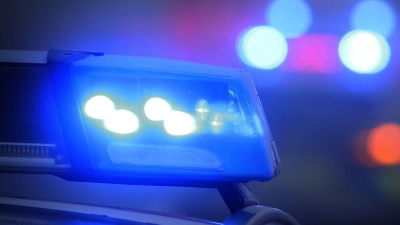 Der Pilot des Passagierflugzeugs rief die Polizei. (Symbolbild) (Foto: Karl-Josef Hildenbrand/dpa)