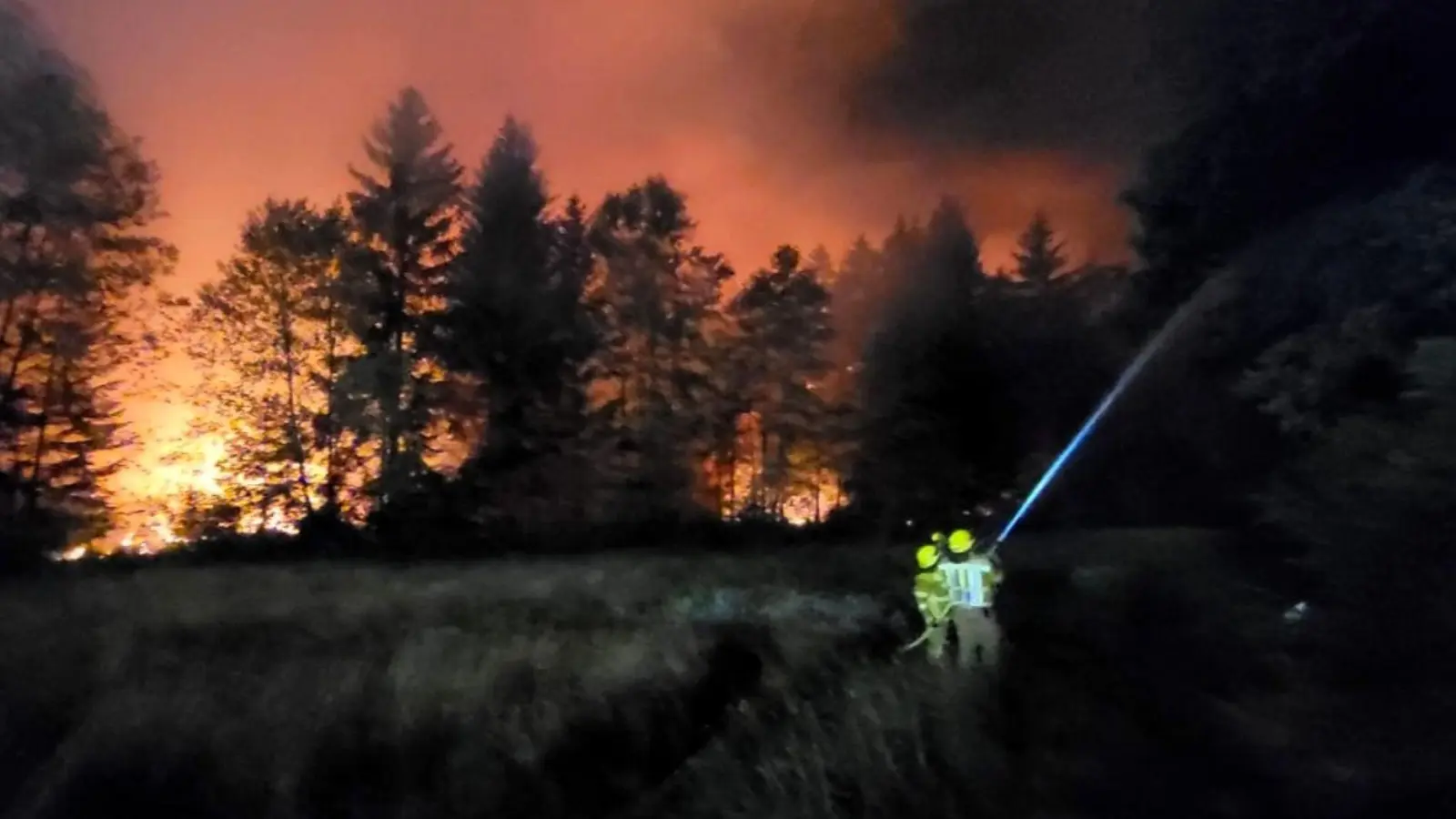 Angesichts vieler Waldbrände in Bayern fordert der Bund Naturschutz einen massiven Waldumbau (Archivbild).  (Foto: Wolfgang Gasser/Kreisfeuerwehrverband Traunstein/dpa)