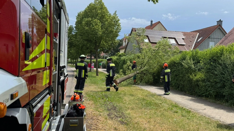 Die Feuerwehr Bad Windsheim entfernte einen umgestürzten Baum in der Wiebelsheimer Straße. (Foto: Feuerwehr Bad Windsheim)