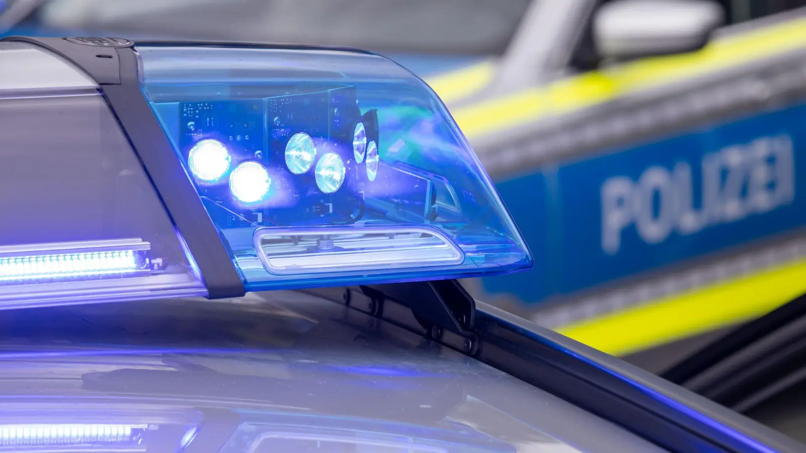 Die Polizei nahm die Frau in Arrest. (Symbolbild) (Foto: Daniel Karmann/dpa)