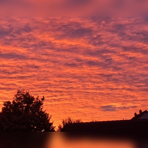 Morgenrot am Katzenbuckel - gesehen in Rothenburg (Foto: Hilde Beck)
