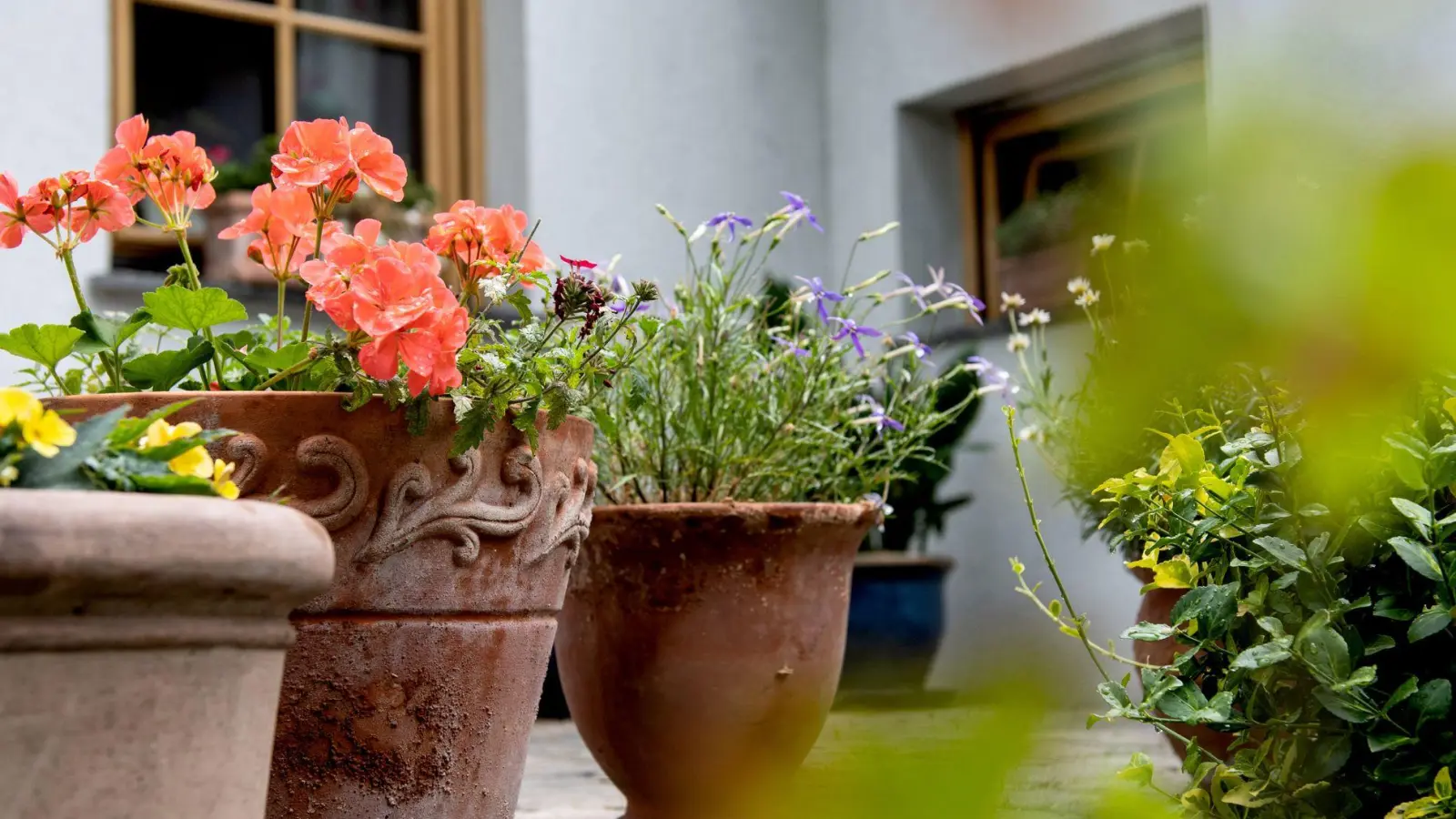 Plastik im Garten vermeiden: Wiederverwendbare oder kompostierbare Pflanzgefäße wie Tontöpfe sind umweltfreundliche Ersatzprodukte. (Foto: Franziska Gabbert/dpa-tmn)