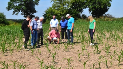 Kaum mehr Aussichten auf einen guten Maisbestand (von links) haben David Lindörfer vom BBV, Landwirt Thomas Ziegelmeier, Dieter Proff, Dr. Jürgen Ludwig, Reinhold Meyer, Fritz Hein, Markus Förster und Carola Reiner. (Foto: Fritz Arnold)
