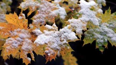 Der Deutsche Wetterdienst erwartet für die kommenden Tage Schnee in Bayern bis in tiefere Lagen um 300 Meter. (Archivbild) (Foto: Karl-Josef Hildenbrand/dpa)