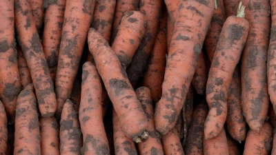 Bei der Förderung des Bio-Anbaus ist nach Ansicht des Verbandes BÖLW noch viel Luft nach oben. (Archivbild) (Foto: Swen Pförtner/dpa)