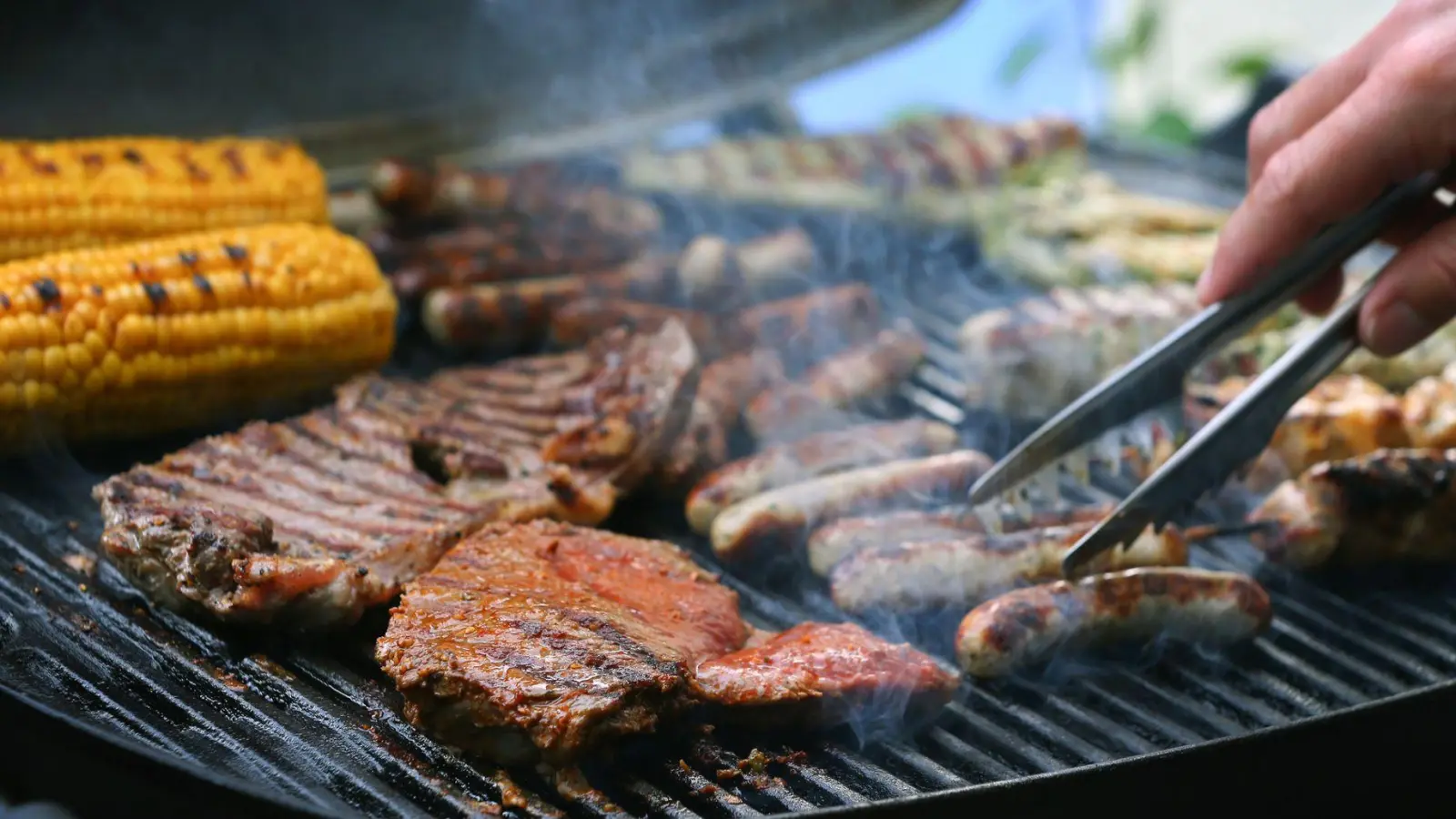 Biofleisch und pflanzliche Ersatzprodukte sind teurer als Fleisch aus konventioneller Tierhaltung (Symbolbild). (Foto: Karl-Josef Hildenbrand/dpa/dpa-tmn)