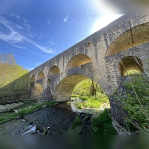 Guter Durchblick - gesehen bei Rothenburg (Foto: Hans-Martin Huber)