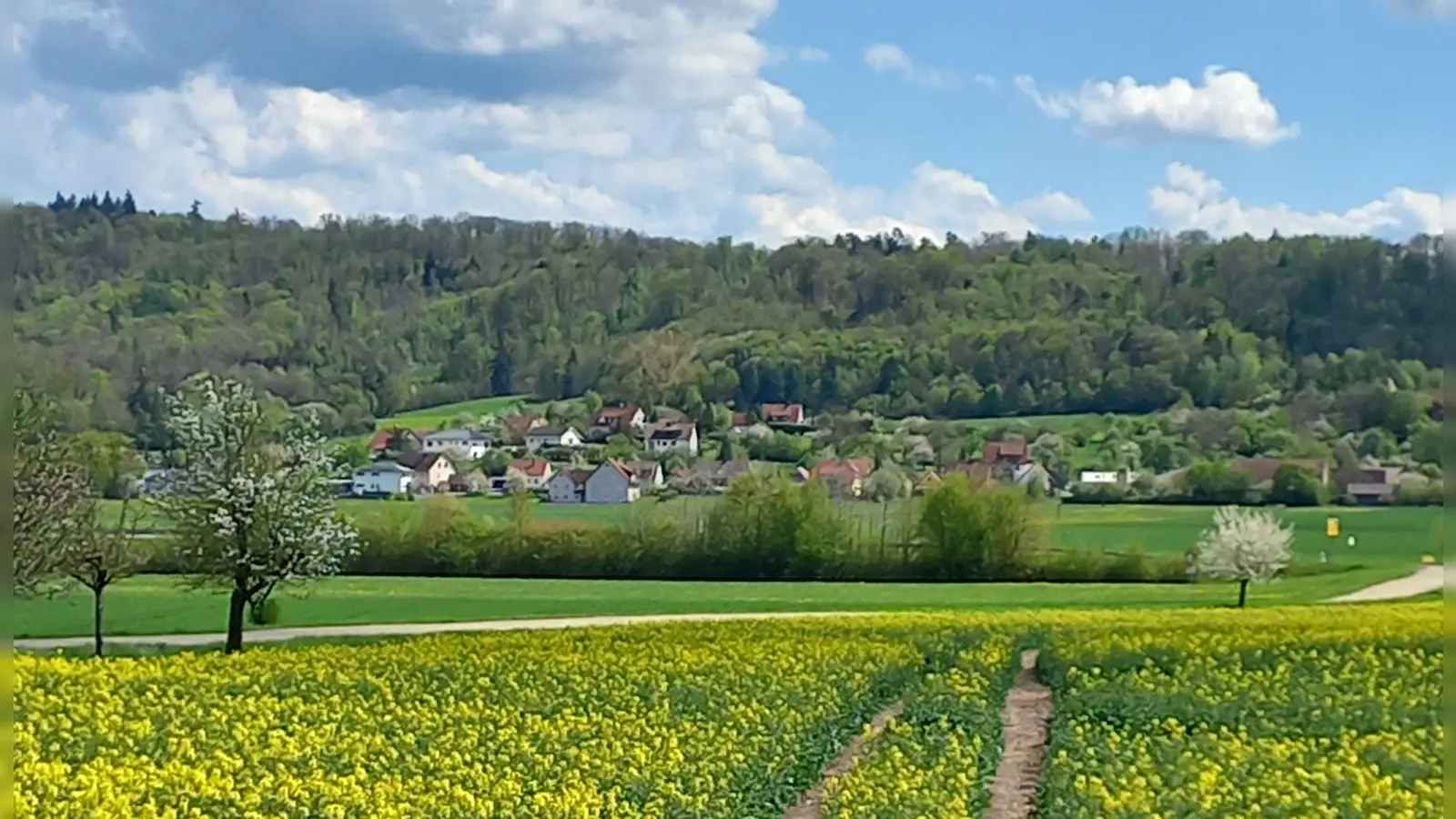 Idyllische Lage - gesehen bei Gailnau. (Foto: Marianne Zanzinger)