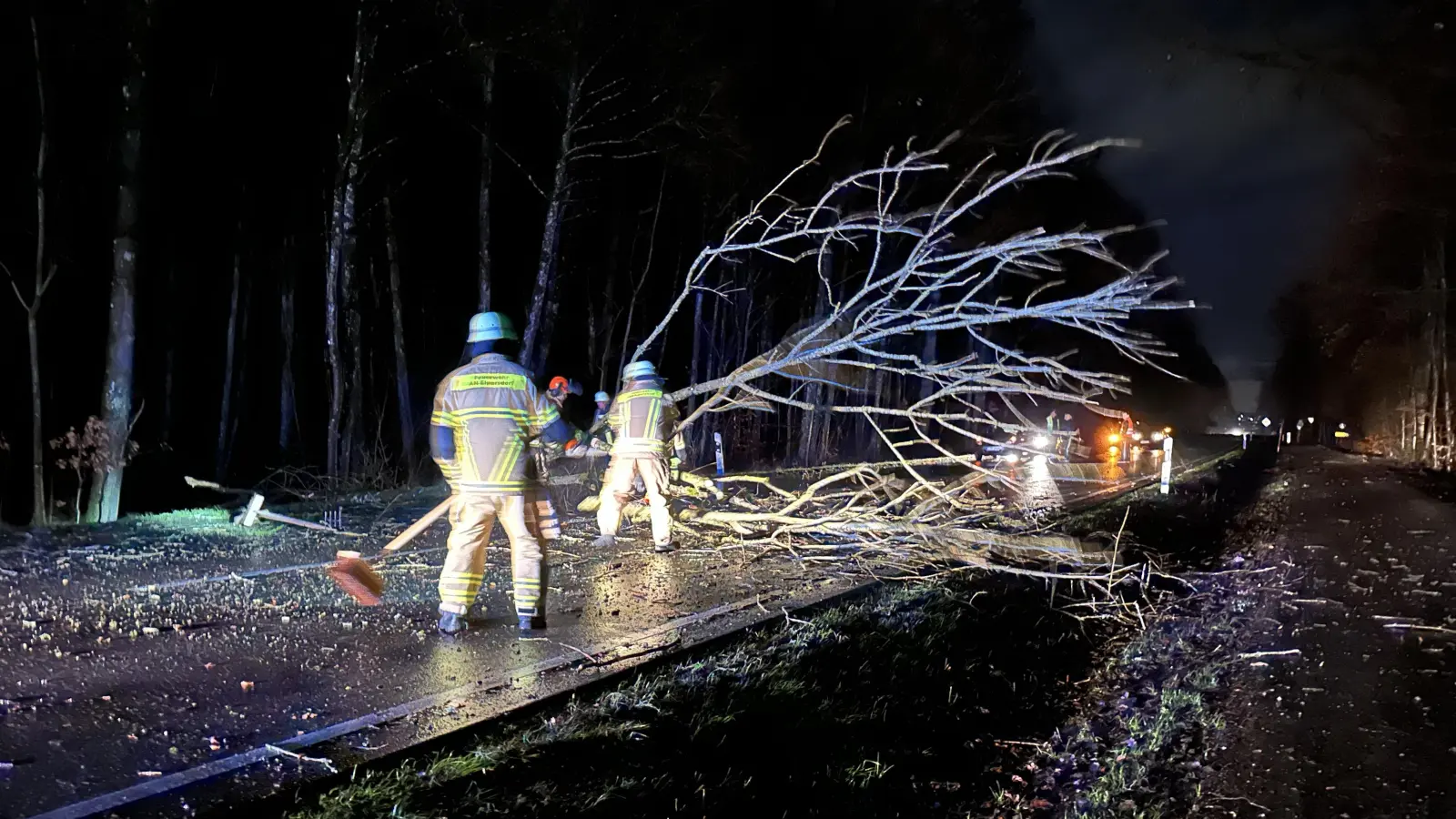 Die Feuerwehr Elpersdorf zersägte den Baum. (Foto: Gudrun Bayer)