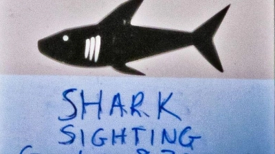 Der Jugendliche wurde schwer an einem Arm und an einem Bein verletzt. (Symbolbild) (Foto: Rebecca Le May/AAP/dpa)