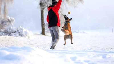 Winterurlaub mit Hund: Toben im Schnee macht Mensch und Vierbeiner gleichermaßen glücklich. (Foto: Thomas Warnack/dpa)