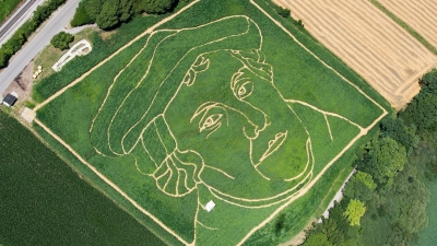 Luther in einem bayerischen Maisfeld - ansonsten ist Bayern überwiegend katholisch. (Symbolbild) (Foto: picture alliance / Peter Kneffel/dpa)